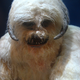 Illustration for article titled Star Wars Props and Costumes, Up Close and Personal